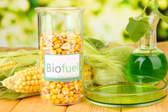 The Cape biofuel availability